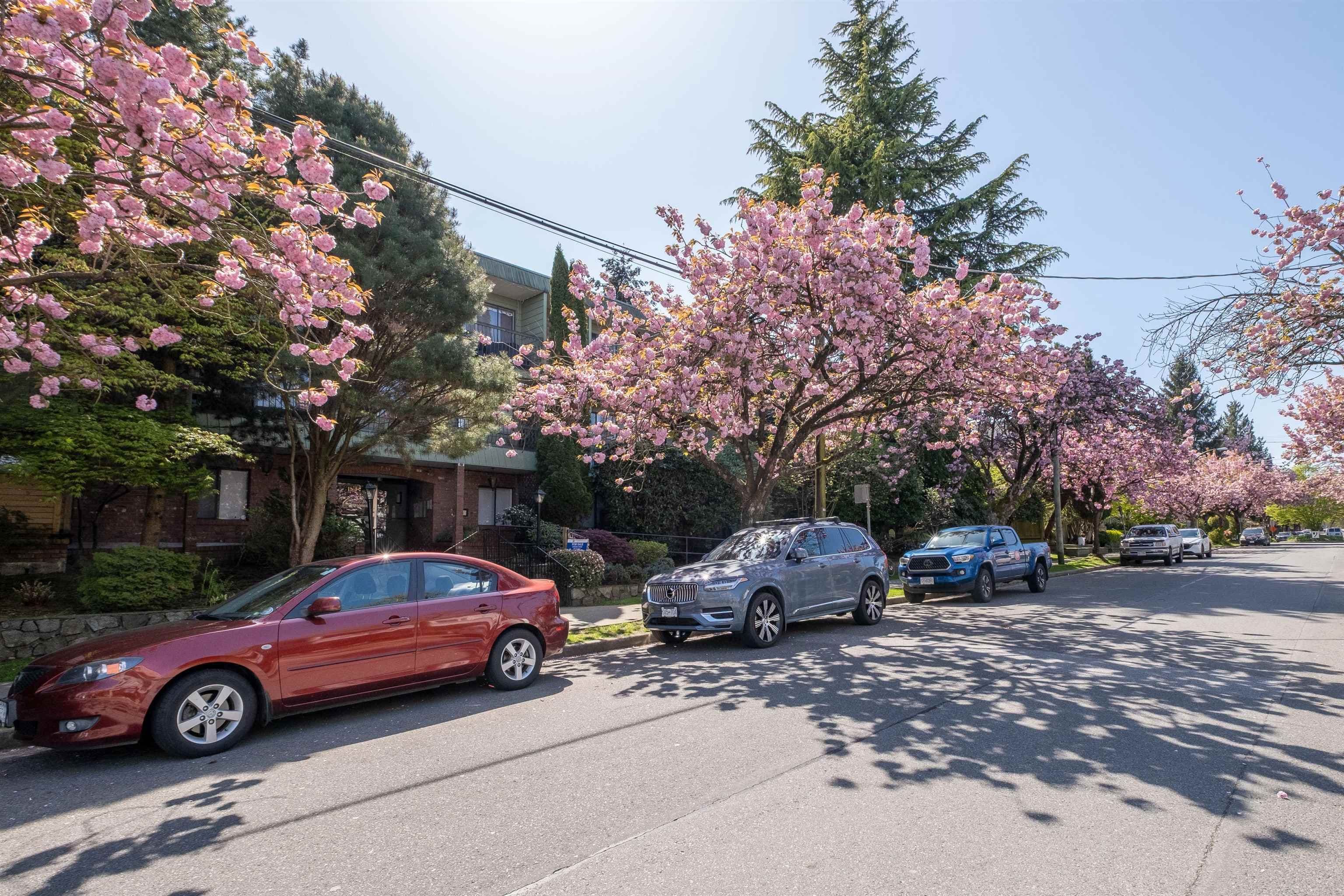 Property photo 253857d0-9593-40ac-95a9-8a9a6abc5bf9